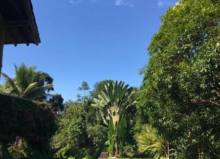 casa a venda em paraty as margens do rio pereque-acu (48)