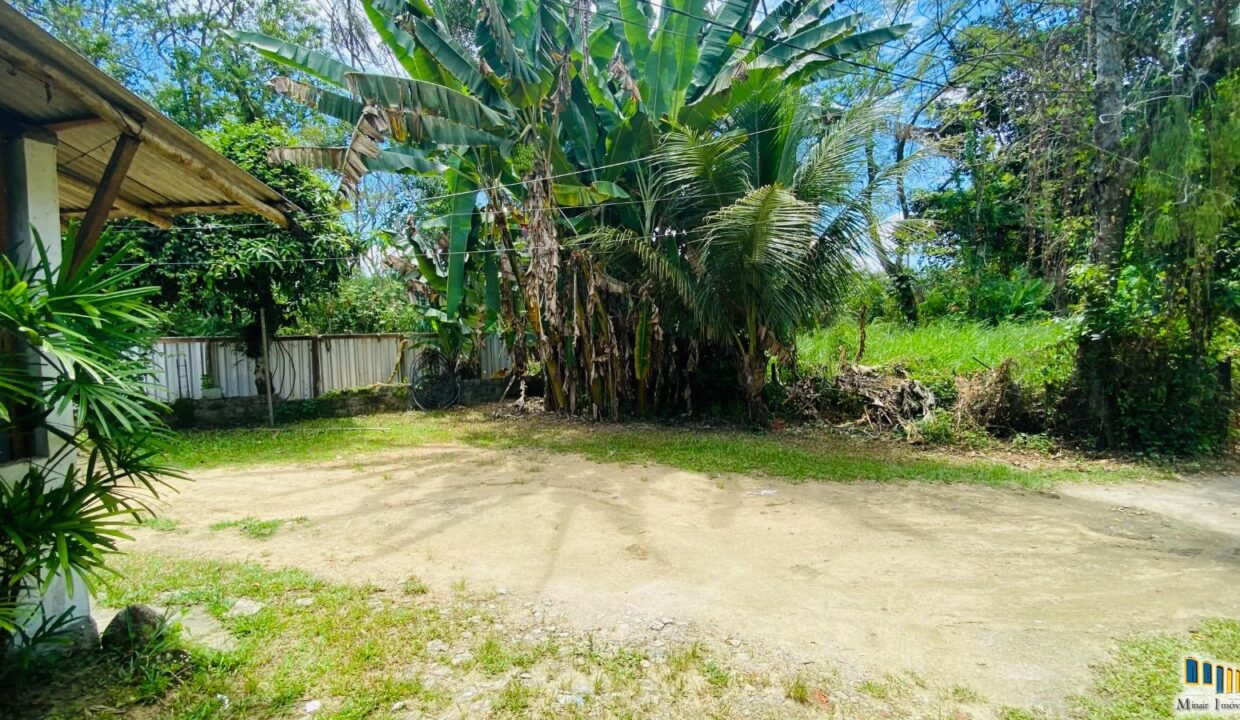 WhatsApp Image 2025-03-14 at 14.20.43 (1)