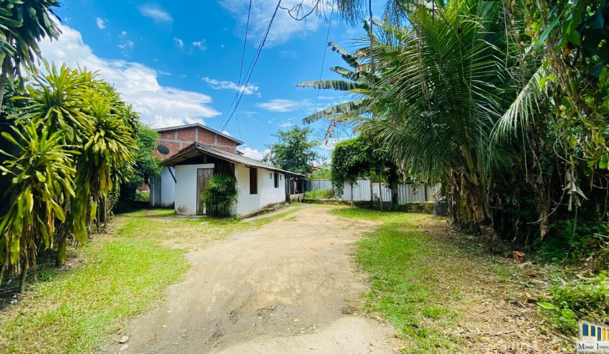 WhatsApp Image 2025-03-14 at 14.20.44