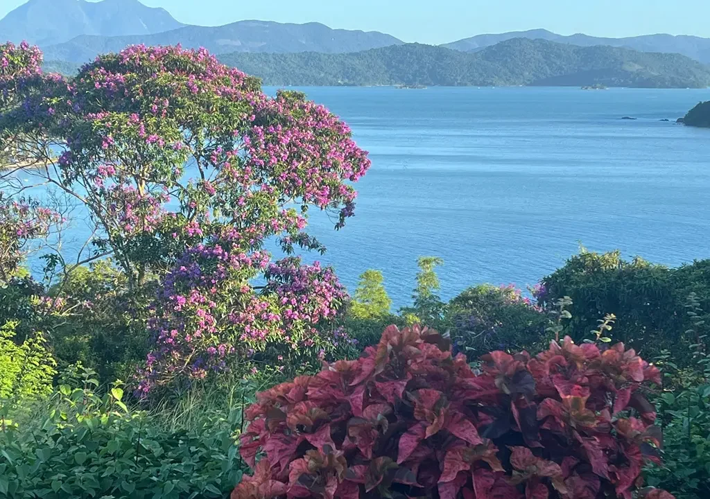 Casa a venda em Paraty com vista para o mar (21)