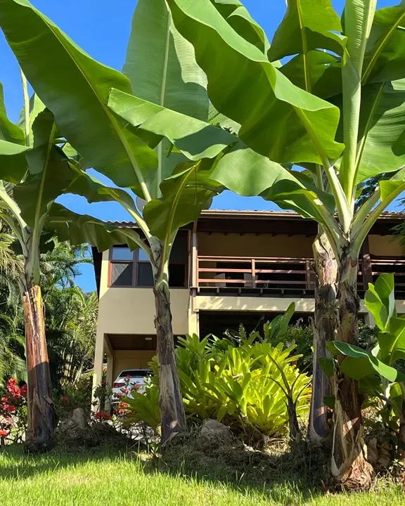 Casa a venda em Paraty com vista para o mar (22)