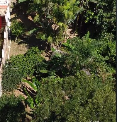 Terreno 78 – Terreno a venda próximo ao Centro Histórico de Paraty