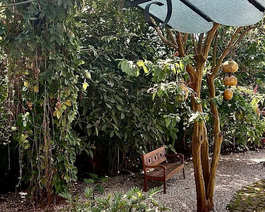 imovel-exclusivo-em-paraty (8)