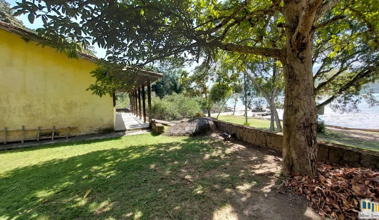 mamangua fachada 1 arvore