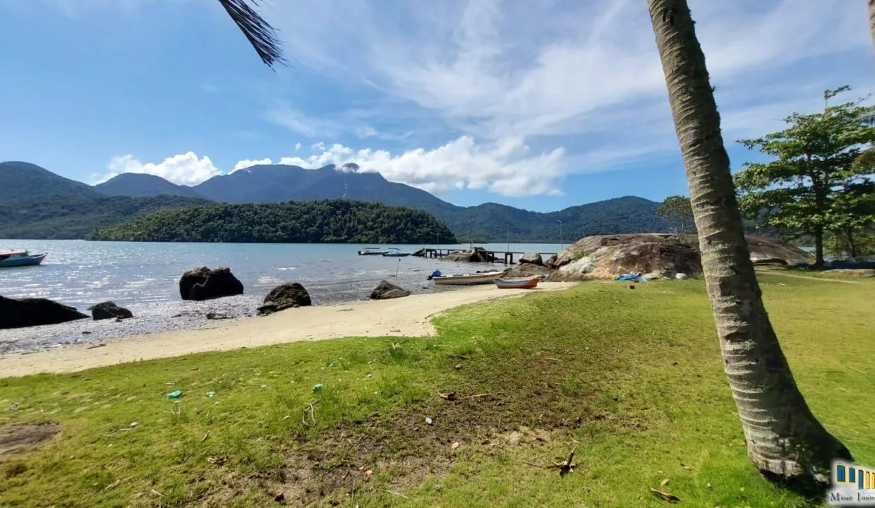 mamangua fachada coqueiro